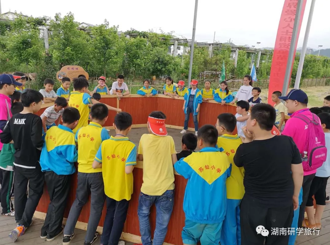 嘎嘎球，竞技与协作同在
