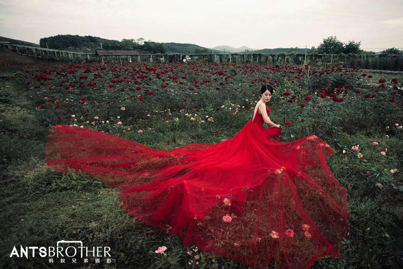 花海丽影