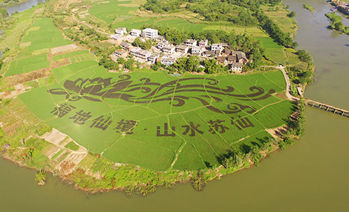 郴州莲山庄园,郴州生态山庄,郴州原生态休闲农业庄园,郴州乡村旅游
